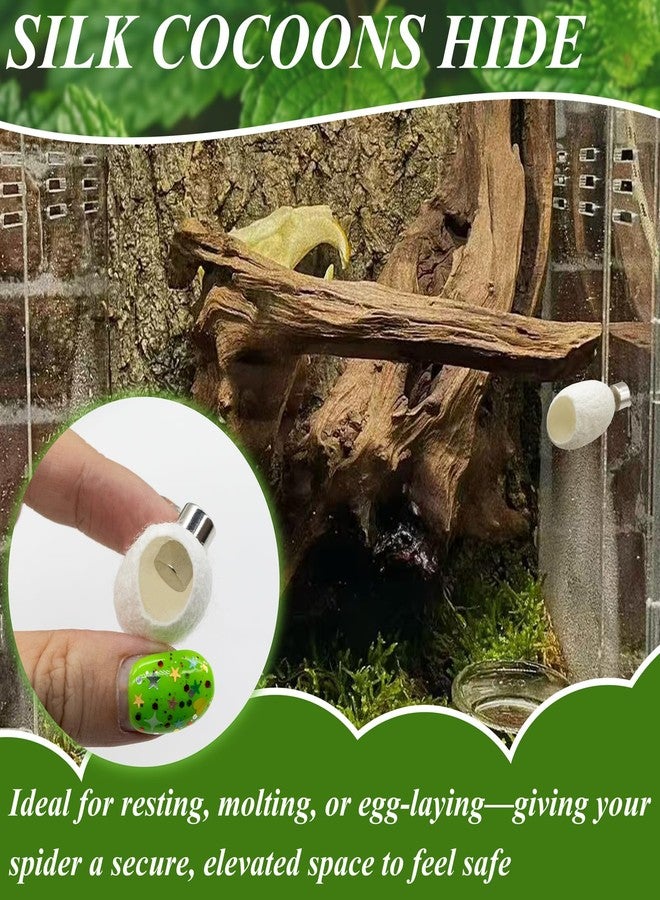Niuohoy Jumping Spider Habitat Accessories Enclosure Habitat Accessories Jumping Spider Web Climbing and Feeding Platforms with Magnets for Small Insects Critters - Image 5